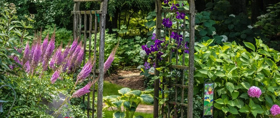 Yard in Elm Grove, WI, with arbor and flowers.