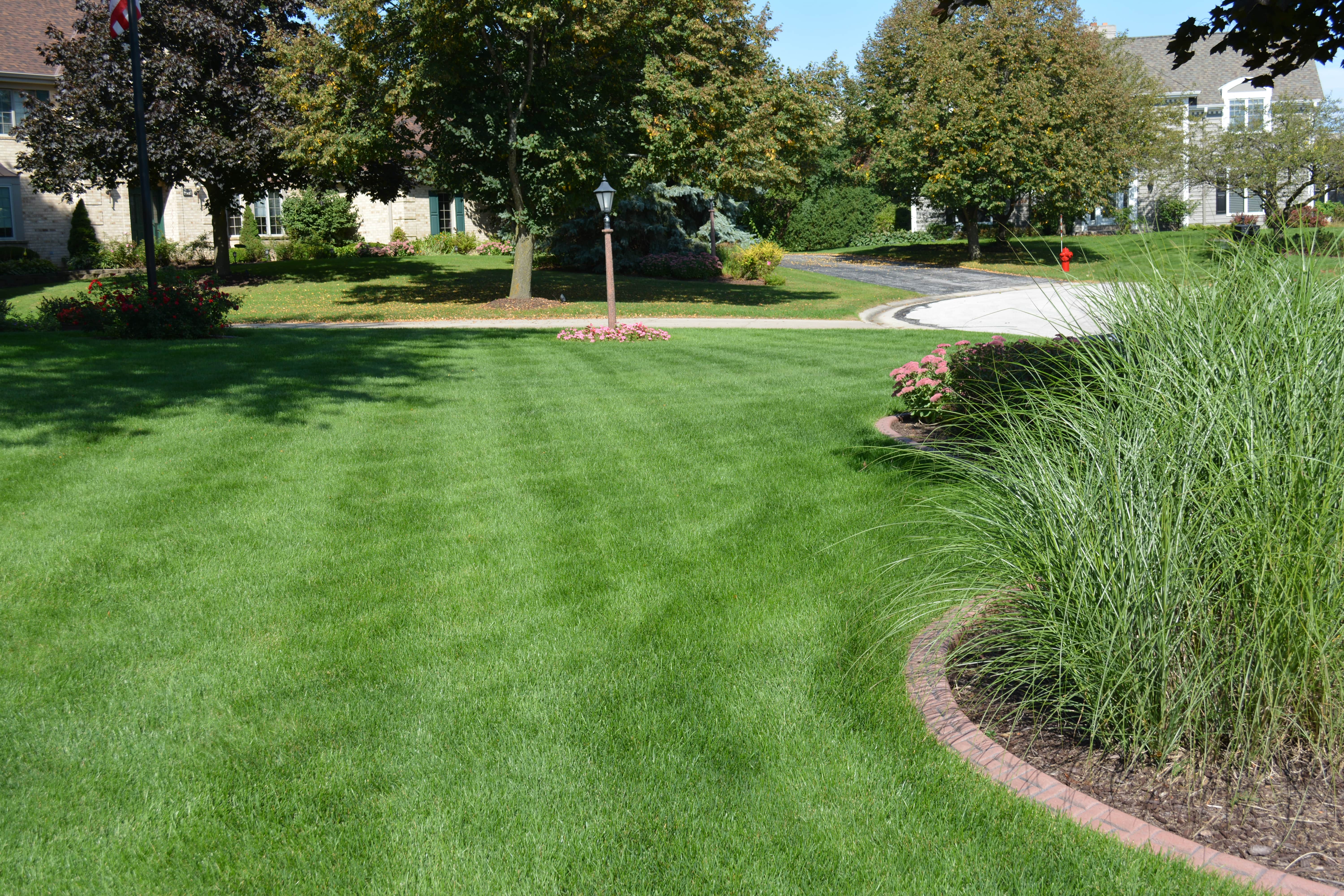 Professional landscape service