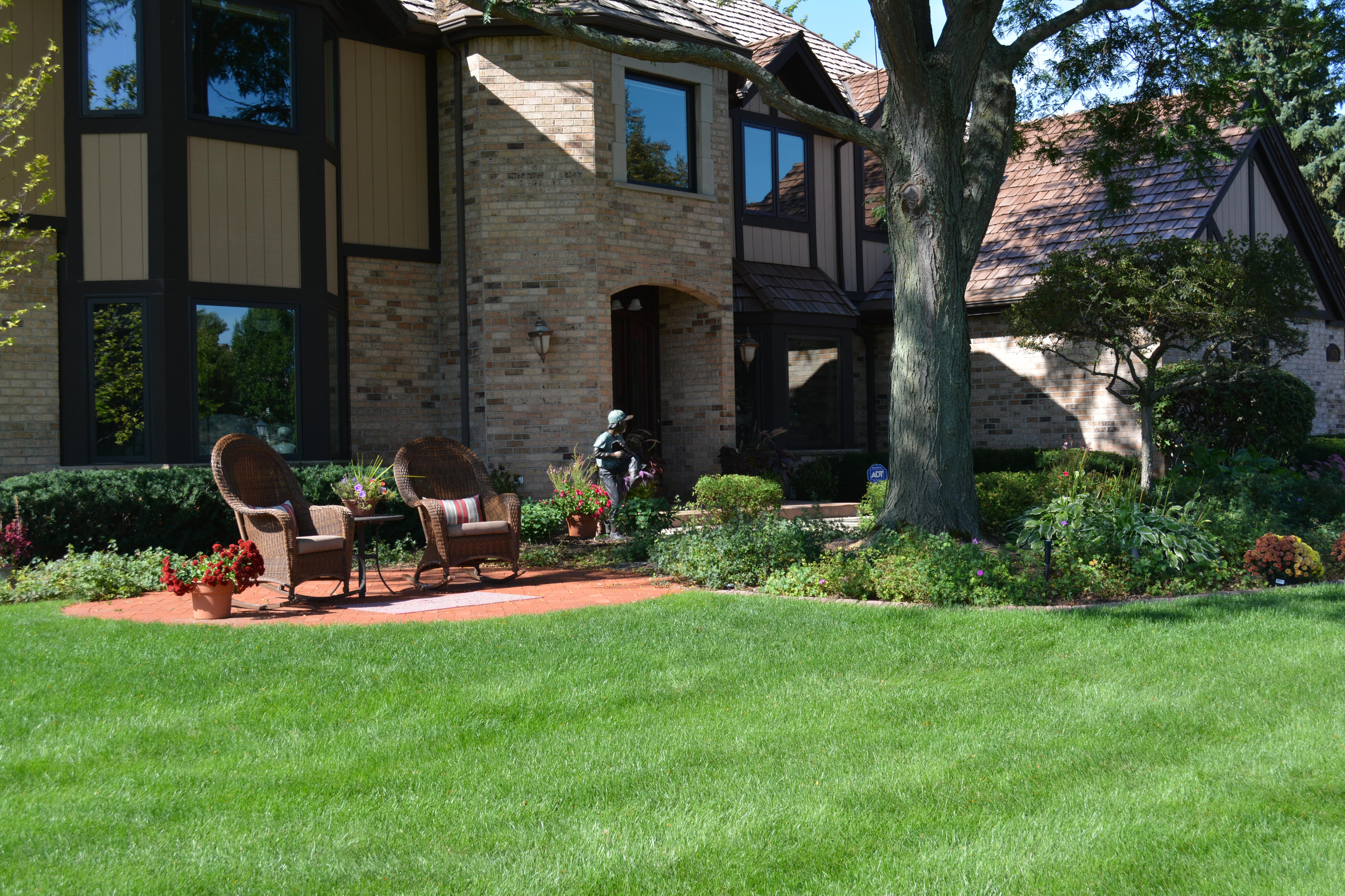 Lush green lawn after fertilization treatment