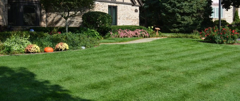 Freshly mowed grass in Elm Grove, WI, neat shrubs, and healthy flowers.