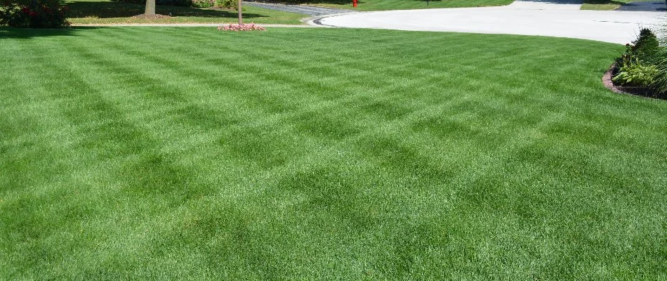 A front lawn with mowing stripes in Elm Grove, WI