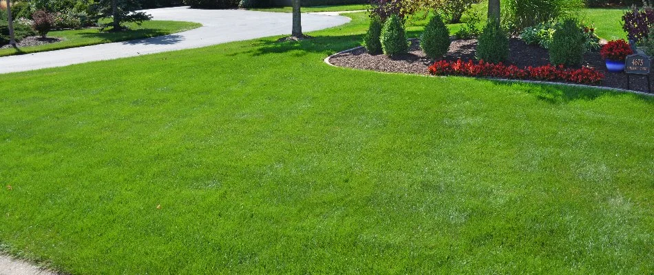 Healthy, green grass near a landscape in Chenequa, WI.