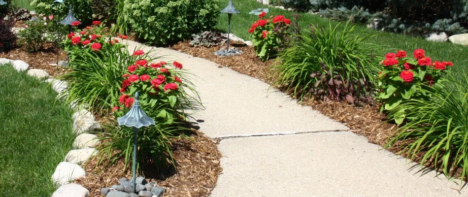 Landscape in Elm Grove, WI, by a walkway with mulch and small plants.