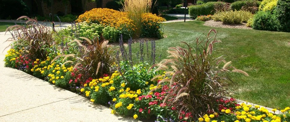 A landscape with colorful flowers along a walkway in Brookfield, WI.