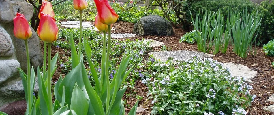 A landscape bed in Elm Grove, WI, with plants, steps, and mulch.