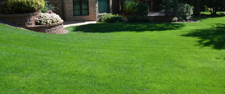 Large lawn in a house backyard in Elm Grove, WI.