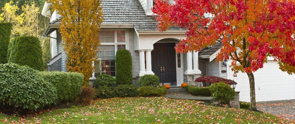 Leaves on a lawn in Elm Grove, WI.