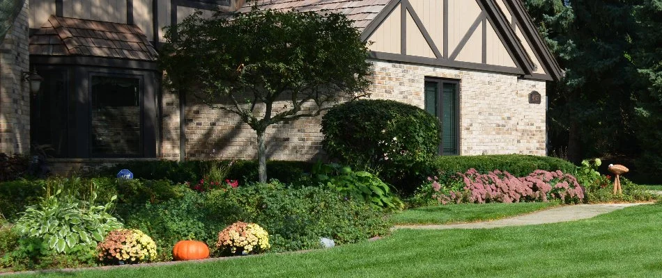 Lush, green trees and shrubs near a house in Elm Grove, WI.