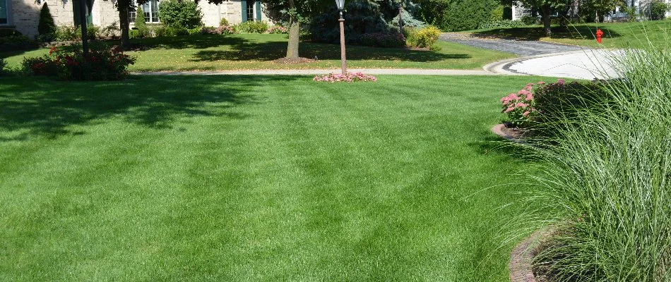 Neat lawn near a street in Elm Grove, WI.