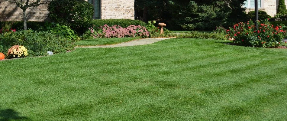 Neat yard in Elm Grove, WI, with no leaves.