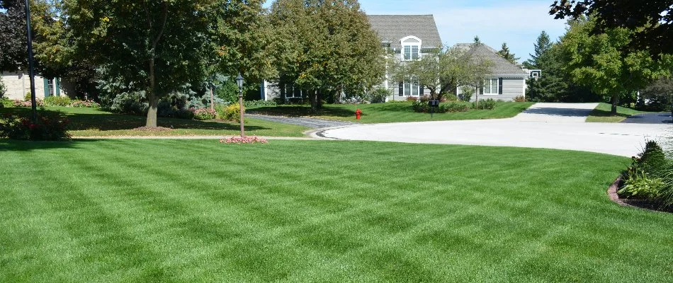 Green lawn on a residential property in Elm Grove, WI.