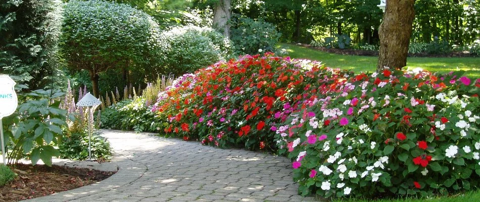 Shrubs with colorful flowers on a property in Elm Grove, WI.