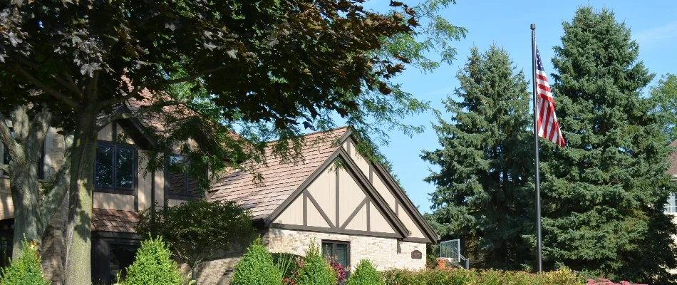 Tall, healthy trees on a property in Elm Grove, WI.