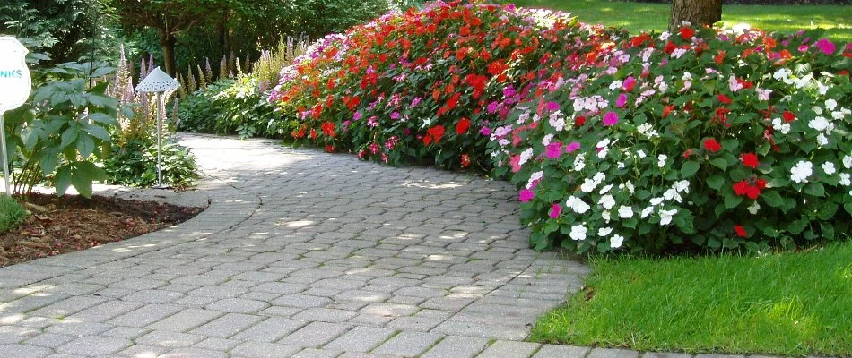 Walkway surrounded by colorful plants in Elm Grove, WI.