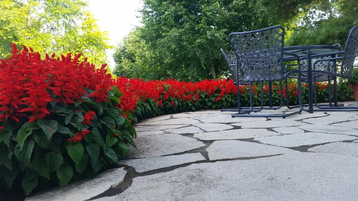 Outdoor patio and flowers in landscape at Brookfield, WI home.