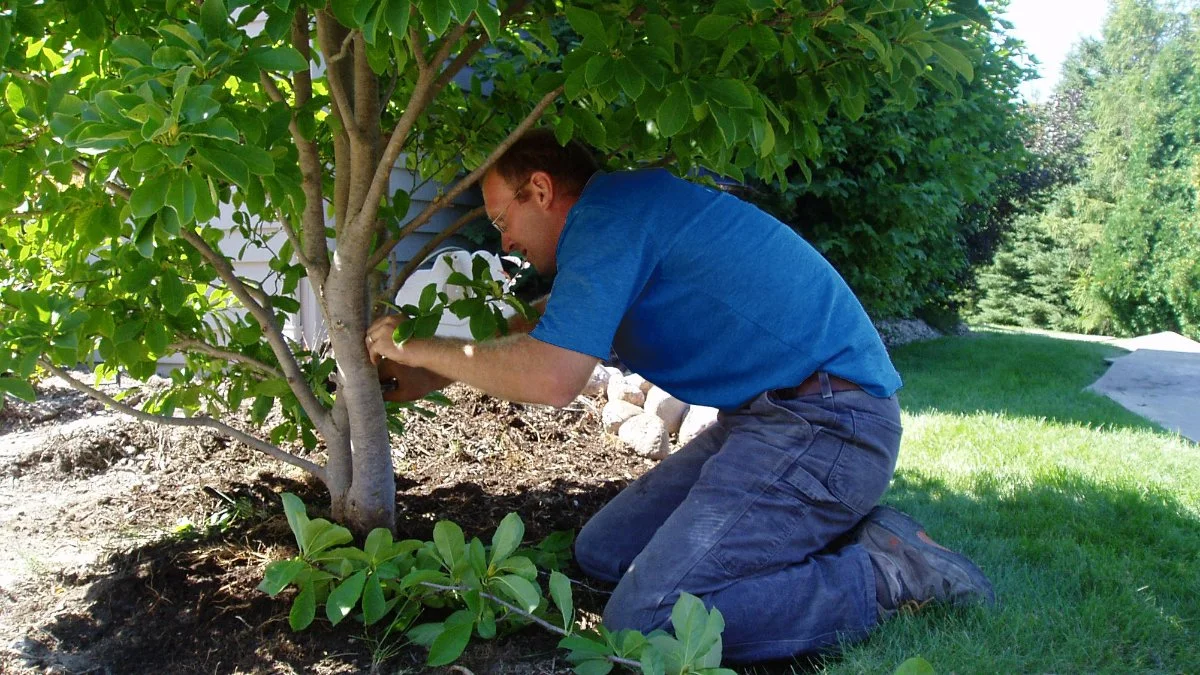 Arborist at Chenequa, WI home providing tree care services.