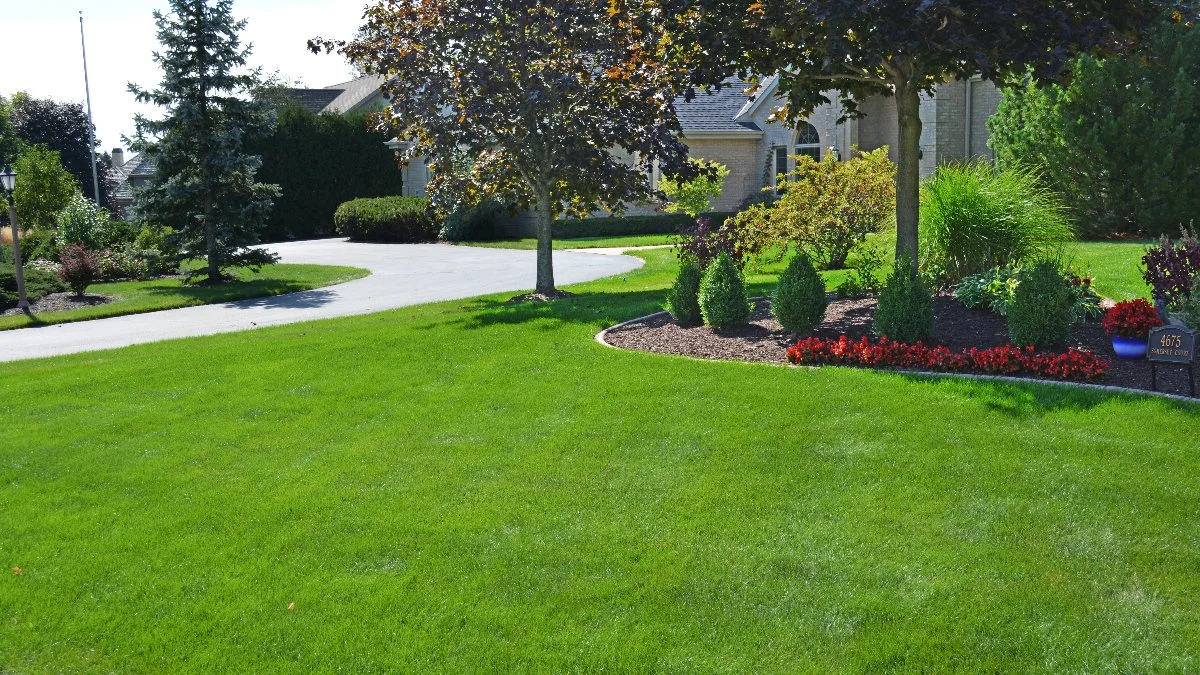 Beautiful maintained lawn in Merton, WI