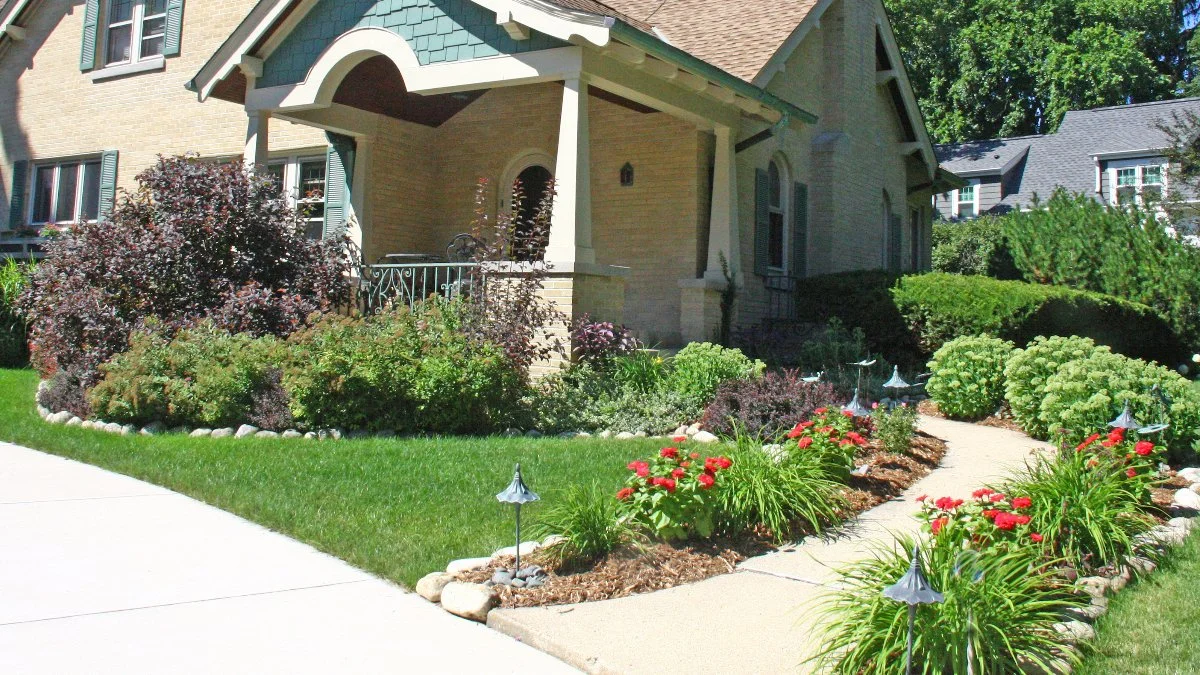 Well-maintained trees and shrubs in Merton