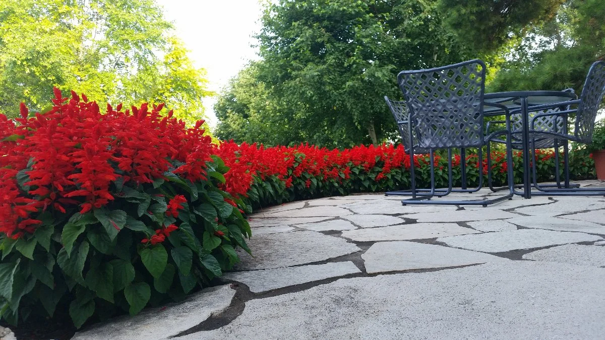 Outdoor living space in Merton