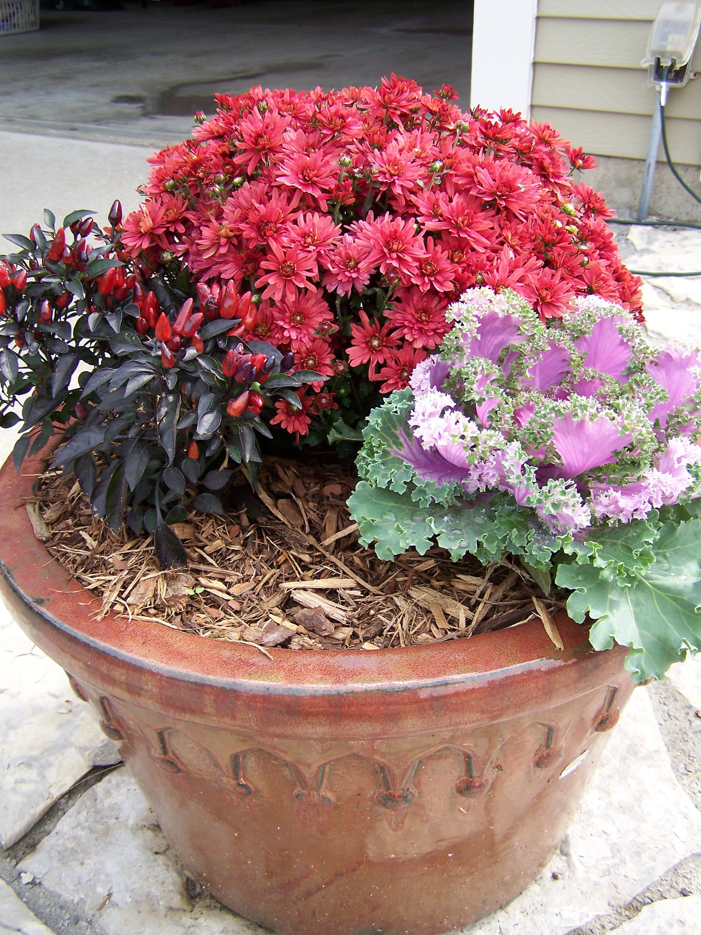 Decorative terracotta container with red mums and ornamental cabbage