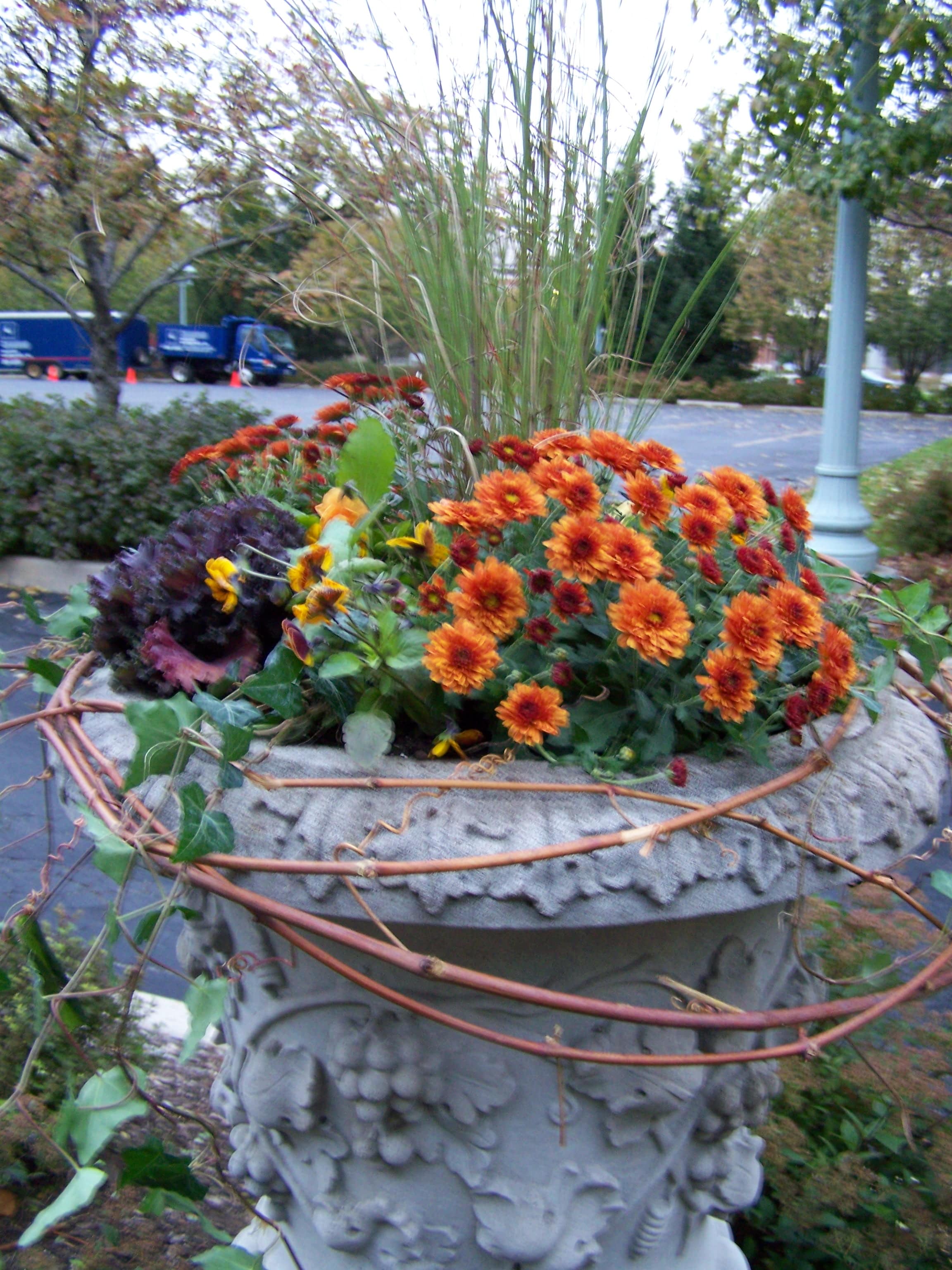 Decorative planter with orange flowers and ornamental grasses