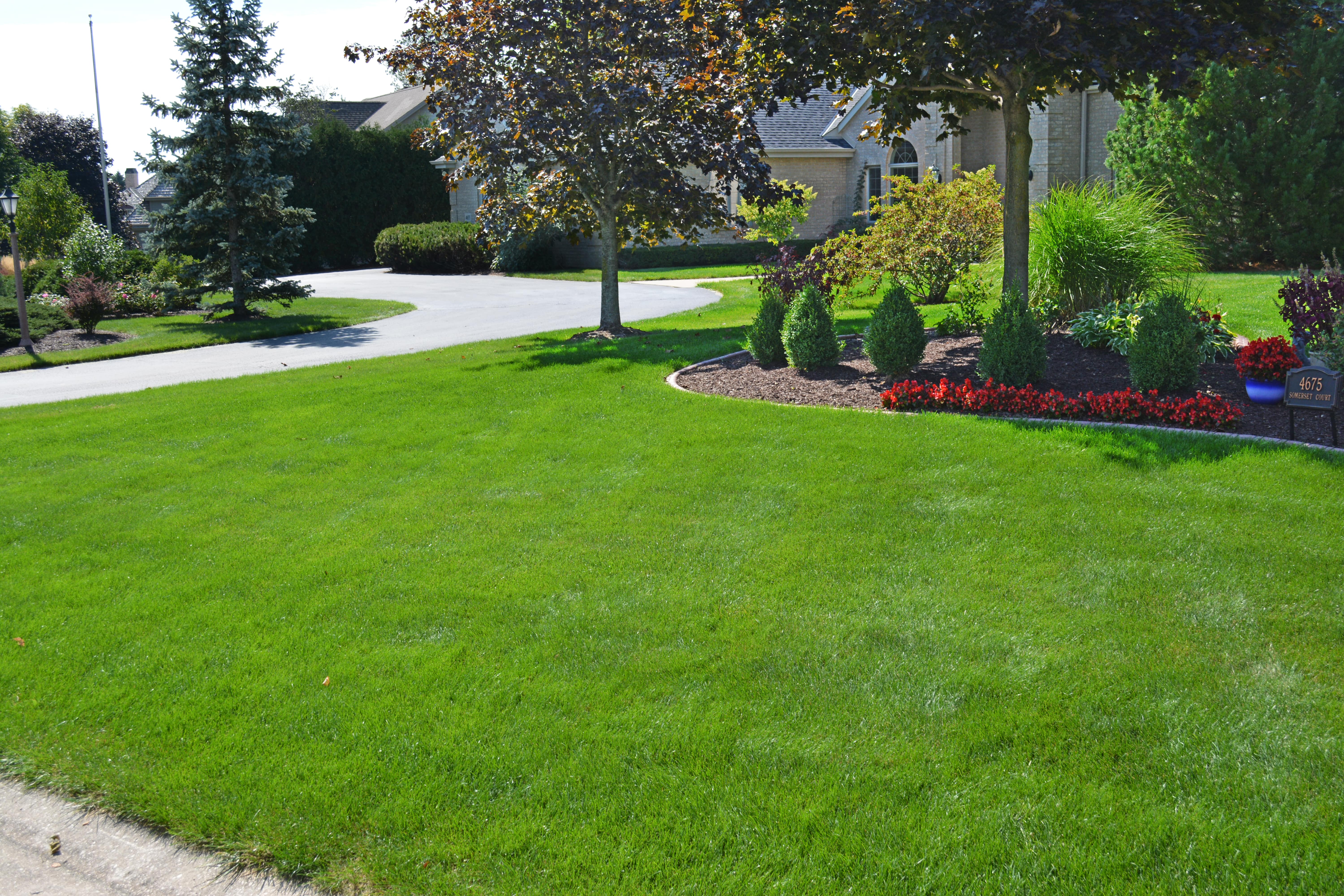 Well-maintained residential lawn with precise edging